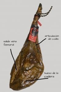Arte de calar un jamón, puntos concretos