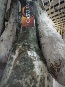 Jamón con presencia de moho.