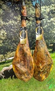 Jamones de bellota 100% ibérico. Pata derecha e izquierda-Jamones Carvajal