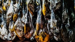 bodega-jabugo-natural-curación-jamones-Carvajal