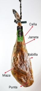 Partes del jamón. _Jamones Carvajal.