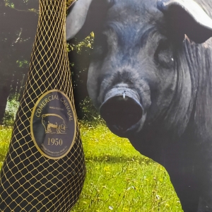 etapas-de-cría-del-ibérico-en-Jabugo-Jamones Carvajal