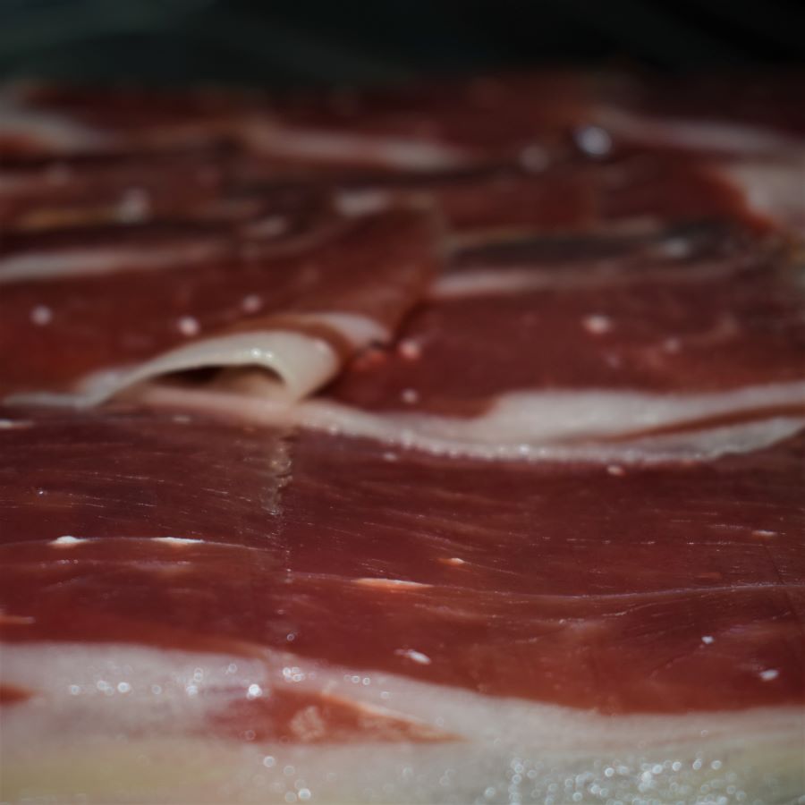 CÓMO VIAJAR CON IBÉRICOS.