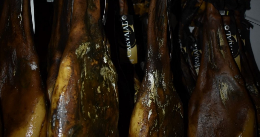 perflado-paleta-bellota-Jamones Carvajal