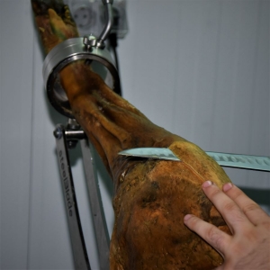 Cómo- cortar- una- paleta- ibérica-de-Jabugo-de-Jamones Carvajal