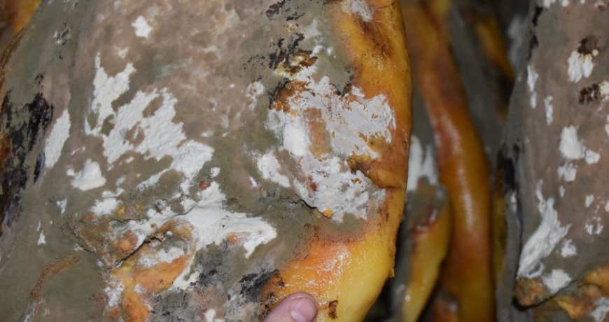 el- clima- y-el-jamón-ibérico-Jamones Carvajal-Jabugo
