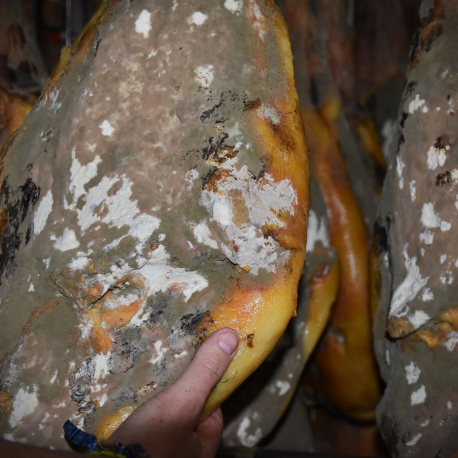 EL CLIMA Y EL JAMÓN IBÉRICO