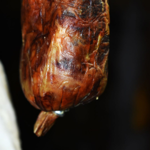 Conservación-ibéricos-en-invierno-Jamones Carvajal-Jabugo