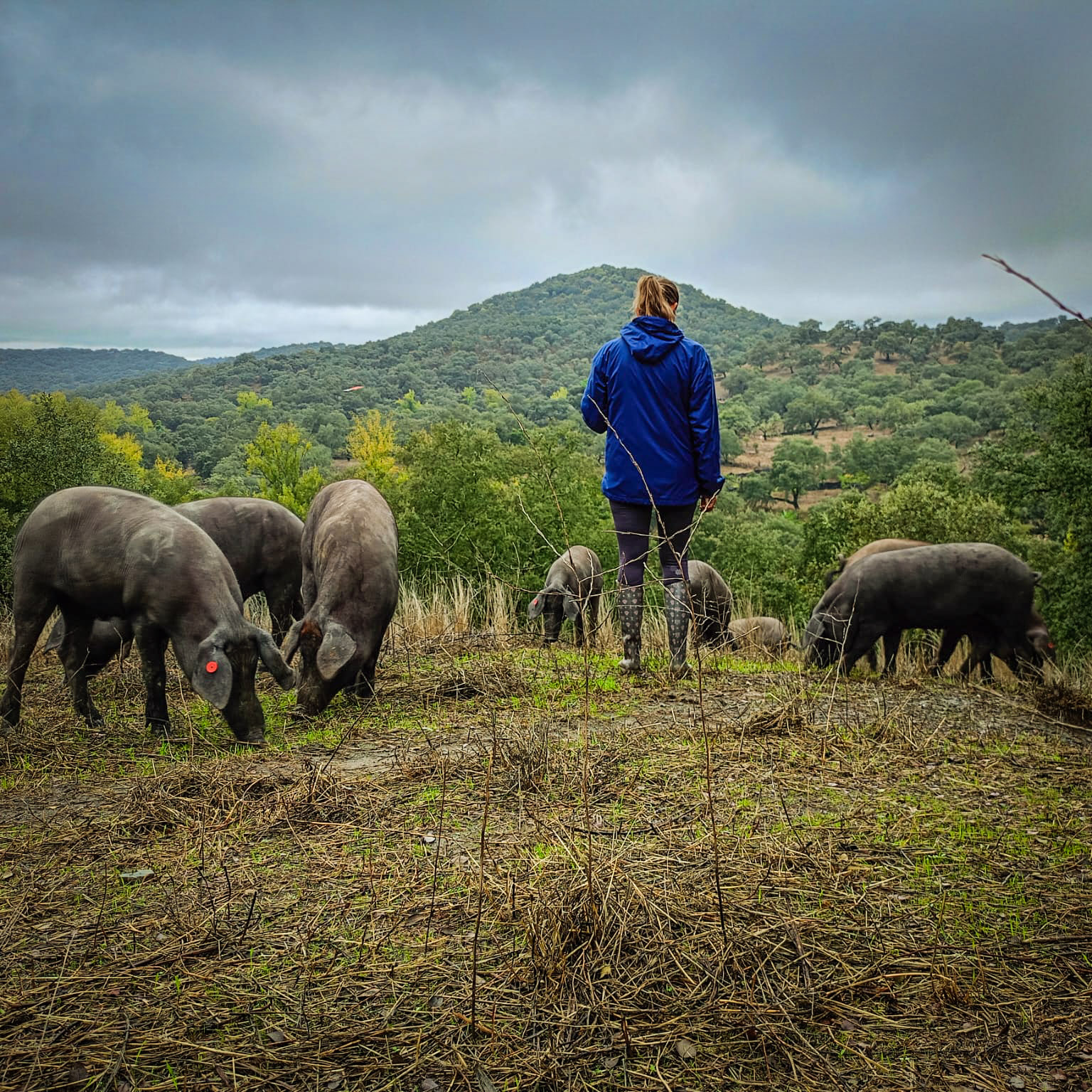 LA MUJER RURAL Y EL IBÉRICO