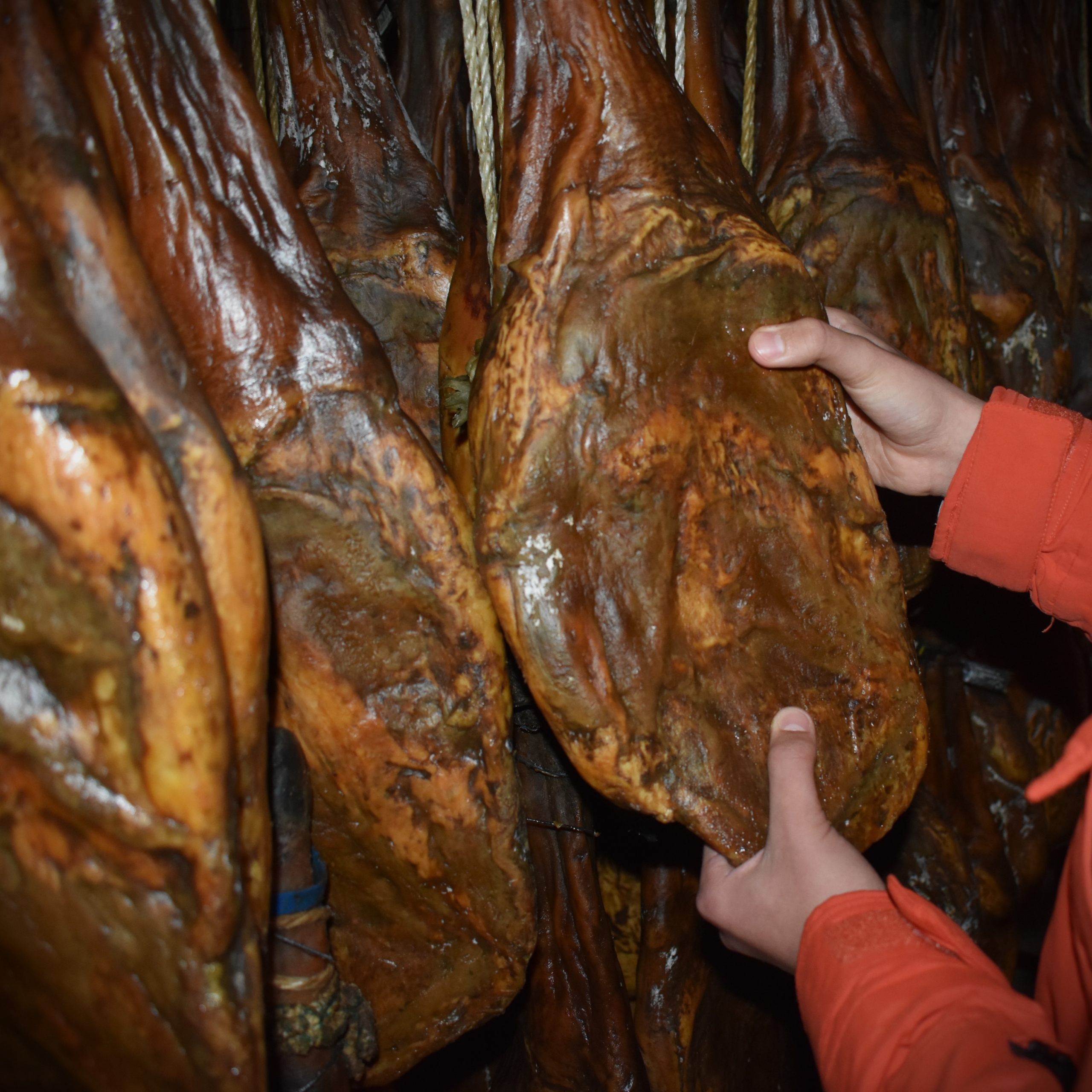 JAMÓN IBÉRICO Y SU ENVEJECIMIENTO