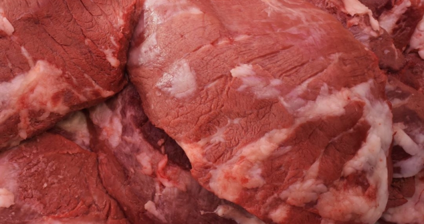 montanera-y-carne-ibérica-de-bellota-Jamones- Carvajal